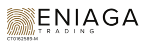 copy of eniaga logo